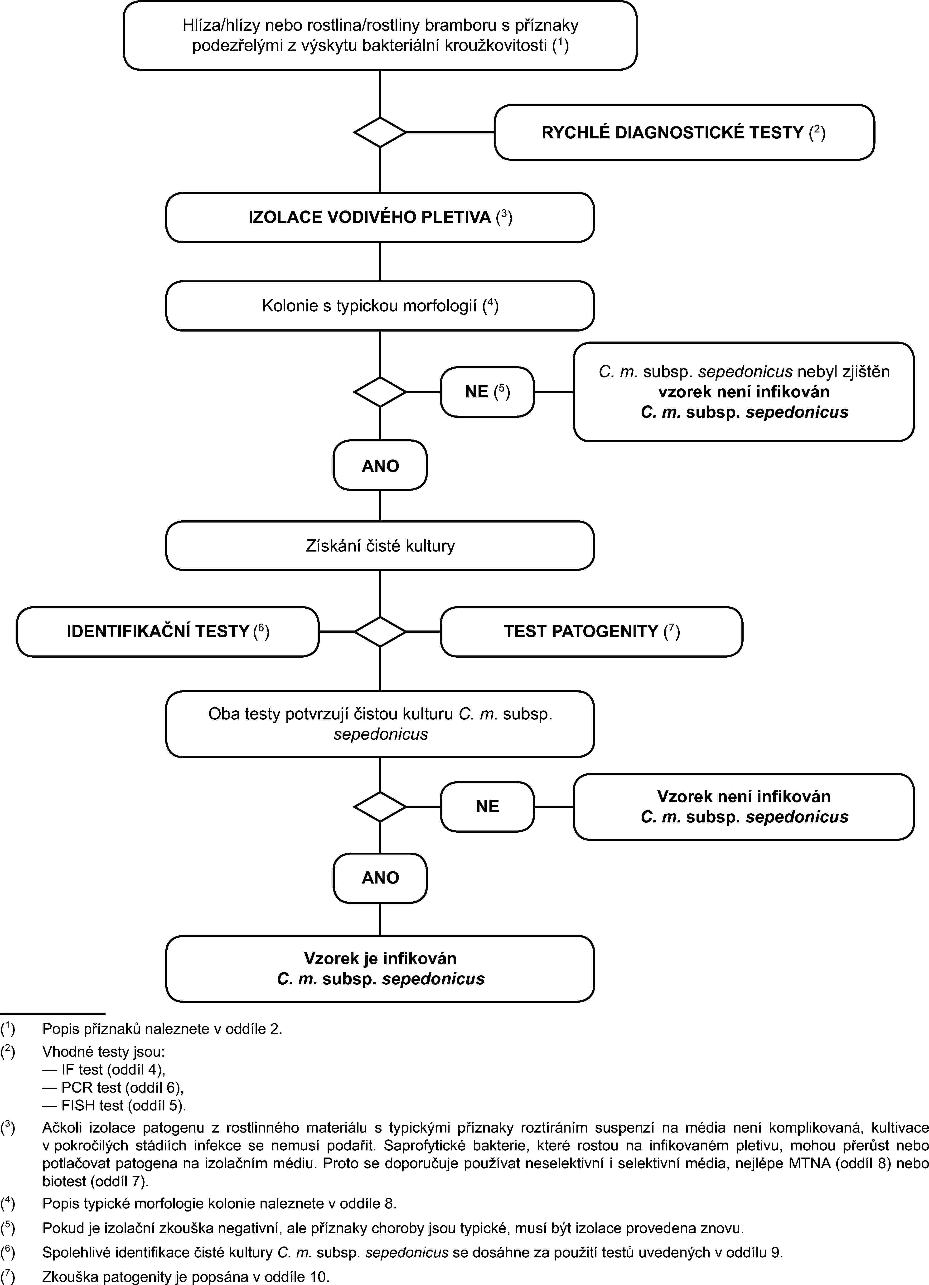 Hlíza/hlízy nebo rostlina/rostliny bramboru s příznaky podezřelými z výskytu bakteriální kroužkovitosti (1)RYCHLÉ DIAGNOSTICKÉ TESTY (2)IZOLACE VODIVÉHO PLETIVA (3)Kolonie s typickou morfologií (4)C. m. subsp. sepedonicus nebyl zjištěn vzorek není infikovánC. m. subsp. sepedonicusNE (5)ANOZískání čisté kulturyIDENTIFIKAČNÍ TESTY (6)TEST PATOGENITY (7)Oba testy potvrzují čistou kulturu C. m. subsp. sepedonicusVzorek není infikovánC. m. subsp. sepedonicusNEANOVzorek je infikovánC. m. subsp. sepedonicus(1)Popis příznaků naleznete v oddíle 2.(2)Vhodné testy jsou:IF test (oddíl 4),PCR test (oddíl 6),FISH test (oddíl 5).(3)Ačkoli izolace patogenu z rostlinného materiálu s typickými příznaky roztíráním suspenzí na média není komplikovaná, kultivace v pokročilých stádiích infekce se nemusí podařit. Saprofytické bakterie, které rostou na infikovaném pletivu, mohou přerůst nebo potlačovat patogena na izolačním médiu. Proto se doporučuje používat neselektivní i selektivní média, nejlépe MTNA (oddíl 8) nebo biotest (oddíl 7).(4)Popis typické morfologie kolonie naleznete v oddíle 8.(5)Pokud je izolační zkouška negativní, ale příznaky choroby jsou typické, musí být izolace provedena znovu.(6)Spolehlivé identifikace čisté kultury C. m. subsp. sepedonicus se dosáhne za použití testů uvedených v oddílu 9.(7)Zkouška patogenity je popsána v oddíle 10.