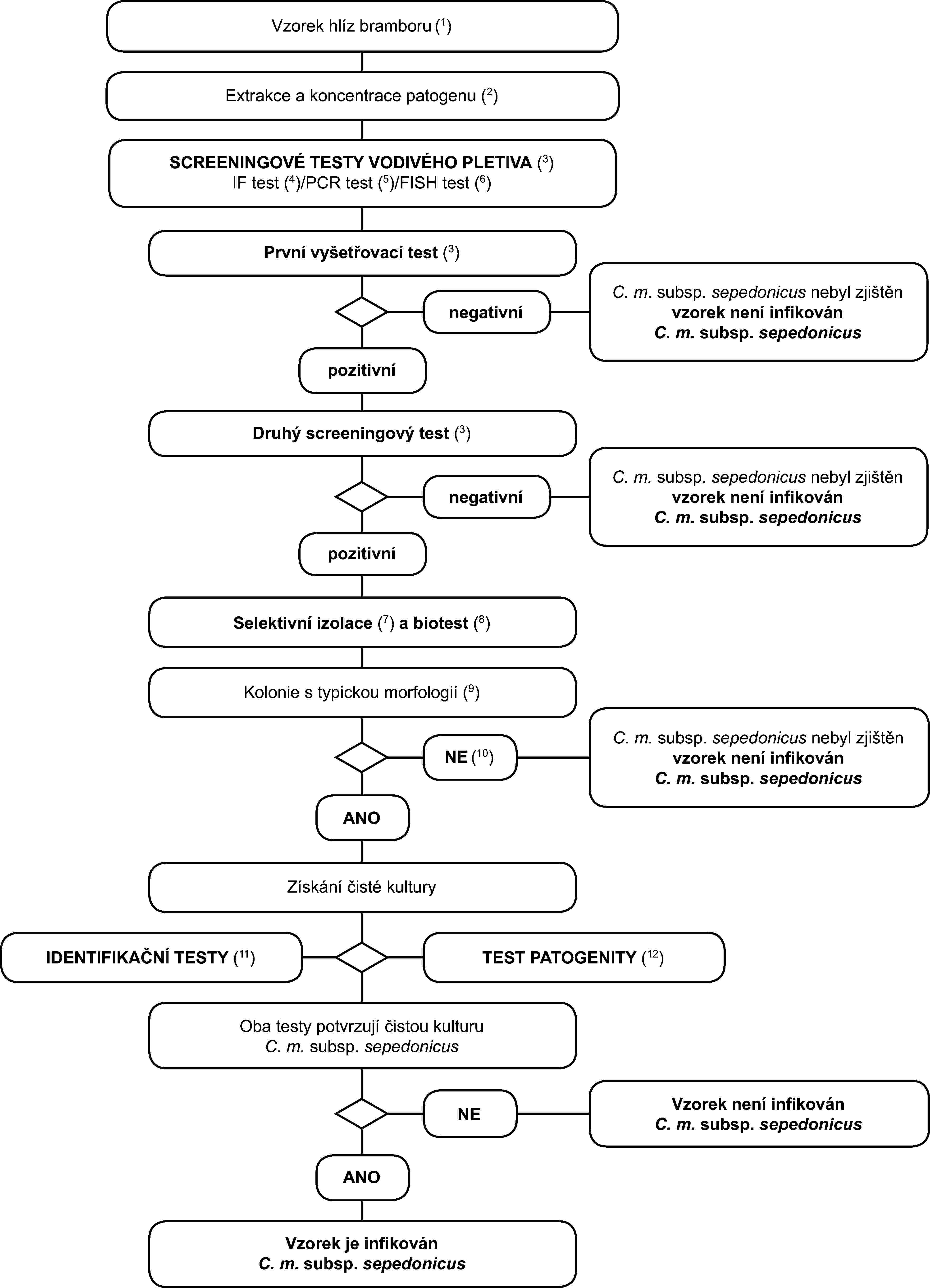 Vzorek hlíz bramboru (1)Extrakce a koncentrace patogenu (2)SCREENINGOVÉ TESTY VODIVÉHO PLETIVA (3)IF test (4)/PCR test (5)/FISH test (6)První vyšetřovací test (3)C. m. subsp. sepedonicus nebyl zjištěnvzorek není infikovánC. m. subsp. sepedonicusnegativnípozitivníDruhý screeningový test (3)C. m. subsp. sepedonicus nebyl zjištěnvzorek není infikovánC. m. subsp. sepedonicusnegativnípozitivníSelektivní izolace (7) a biotest (8)Kolonie s typickou morfologií (9)C. m. subsp. sepedonicus nebyl zjištěnvzorek není infikovánC. m. subsp. sepedonicusNE (10)ANOZískání čisté kulturyIDENTIFIKAČNÍ TESTY (11)TEST PATOGENITY (12)Oba testy potvrzují čistou kulturuC. m. subsp. sepedonicusVzorek není infikovánC. m. subsp. sepedonicusNEANOVzorek je infikovánC. m. subsp. sepedonicus