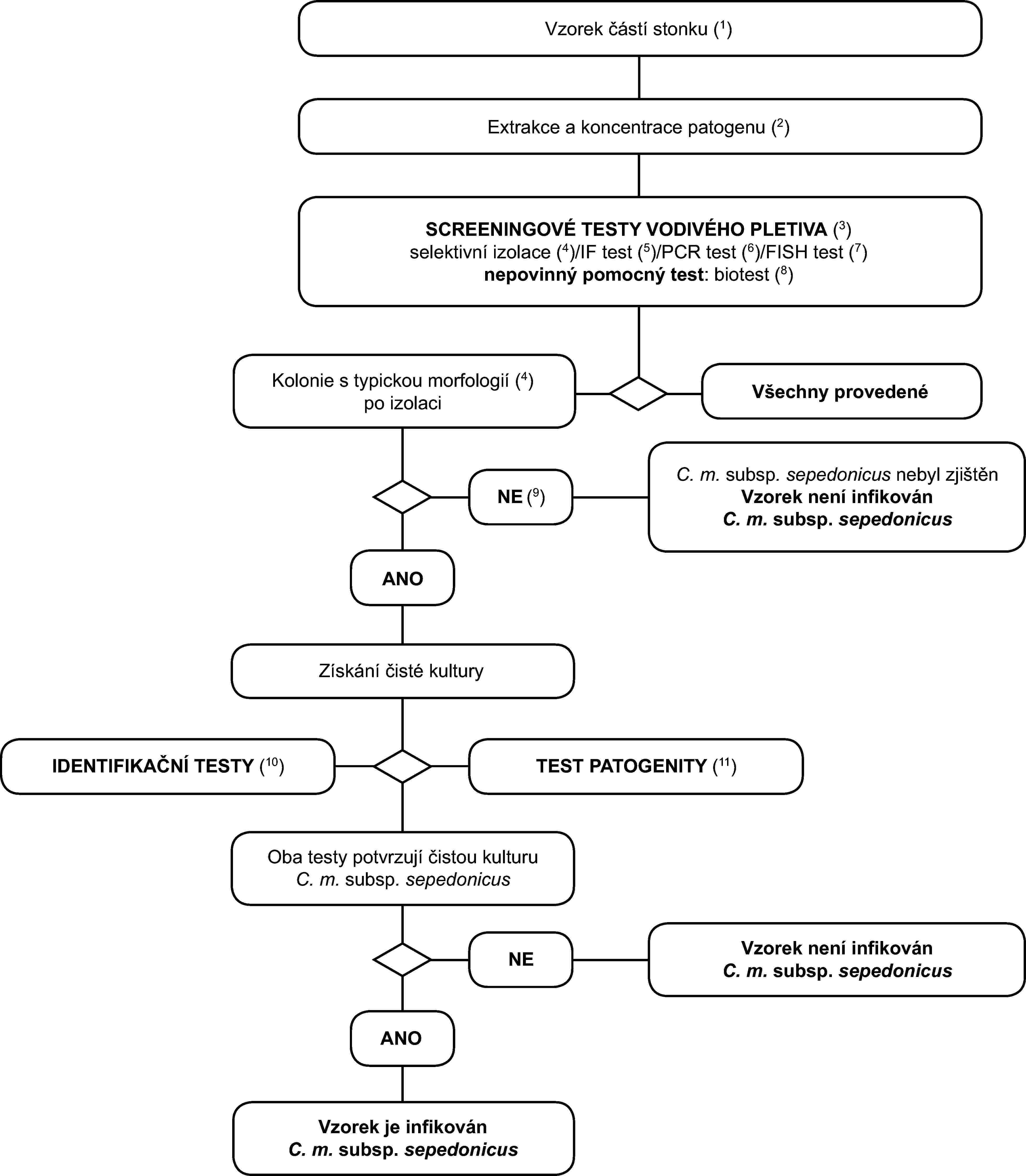 Vzorek částí stonku (1)Extrakce a koncentrace patogenu (2)SCREENINGOVÉ TESTY VODIVÉHO PLETIVA (3)selektivní izolace (4)/IF test (5)/PCR test (6)/FISH test (7)nepovinný pomocný test: biotest (8)Kolonie s typickou morfologií (4)po izolaciVšechny provedené testynegativníNE (9)ANOC. m. subsp. sepedonicus nebyl zjištěnVzorek není infikovánC. m. subsp. sepedonicusZískání čisté kulturyIDENTIFIKAČNÍ TESTY (10)TEST PATOGENITY (11)Oba testy potvrzují čistou kulturuC. m. subsp. sepedonicusNEANOVzorek není infikovánC. m. subsp. sepedonicusVzorek je infikovánC. m. subsp. sepedonicus