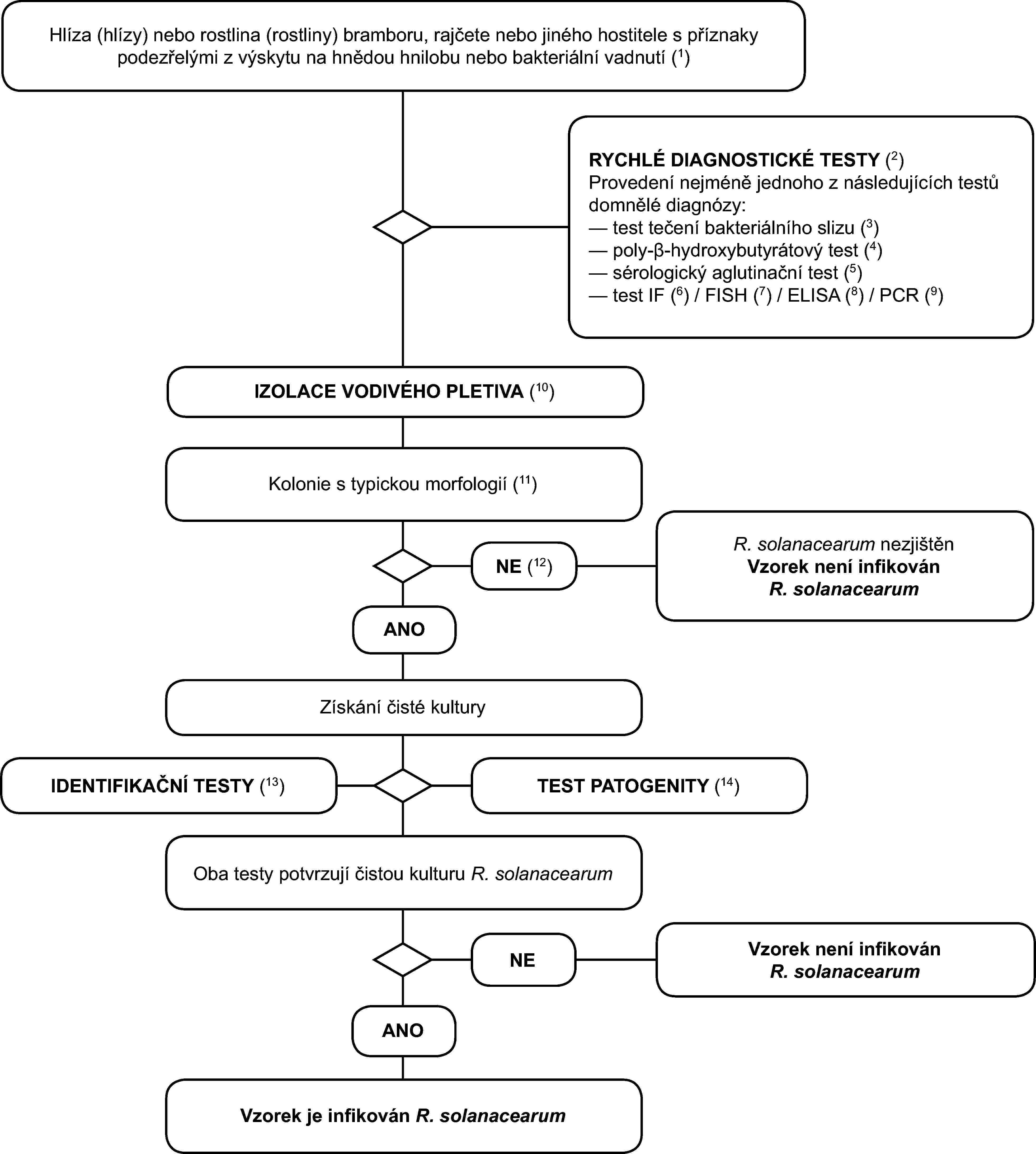 (1)Popis příznaků naleznete v oddíle II.1.(2)Rychlé diagnostické testy usnadňují předběžnou diagnózu, ale nejsou dokonalé. Negativní výsledek nezaručuje vždy nepřítomnost patogenu.(3)Test na výtok slizu ze svazků cévních stonku je popsán v odd. VI.A.1.(4)Test na přítomnost granulí poly-β-hydroxybutyrátu je popsán v odd. VI.A.2.(5)Sérologické aglutinační testy bakteriálního slizu nebo extraktů z pletiva vykazujícího příznaky je popsán v odd. VI.A.3.(6)Test IF bakteriálního slizu suspendovaného ve vodě nebo extraktech pletiva vykazujícího příznaky je popsán v odd. VI.A.5.(7)Test FISH bakteriálního slizu suspendovaného ve vodě nebo extraktech pletiva vykazujícího příznaky je popsán v odd. VI.A.7.(8)Test ELISA bakteriálního slizu suspendovaného ve vodě nebo extraktech pletiva vykazujícího příznaky je popsán v odd. VI.A.8.(9)Test PCR bakteriálního slizu suspendovaného ve vodě nebo extraktech pletiva vykazujícího příznaky je popsán v odd. VI.A.6.(10)Patogen je obvykle snadno izolovatelný z rostlinného materiálu vykazujícího příznaky metodou zřeďovacích roztěrů (postupným ředěním) (viz oddíl II.3).(11)Typická morfologie kolonie je popsána v oddíle II.3.d.(12)Kultivace může selhat při pokročilých fázích infekce z důvodů konkurence nebo bujného růstu saprofytických bakterií. Jestliže jsou příznaky infekce typické, ale izolační test je negativní, musí se izolace opakovat, nejlépe kultivací na selektivních živných půdách.(13)Spolehlivá identifikace čistých kultur domnělého organismu R. solanacearum se provede pomocí testů popsaných v bodu VI.B. Dílčí specifická charakteristika je nepovinná, ale doporučuje se pro každý nový případ.(14)Test patogenity je popsán v bodu VI.C.