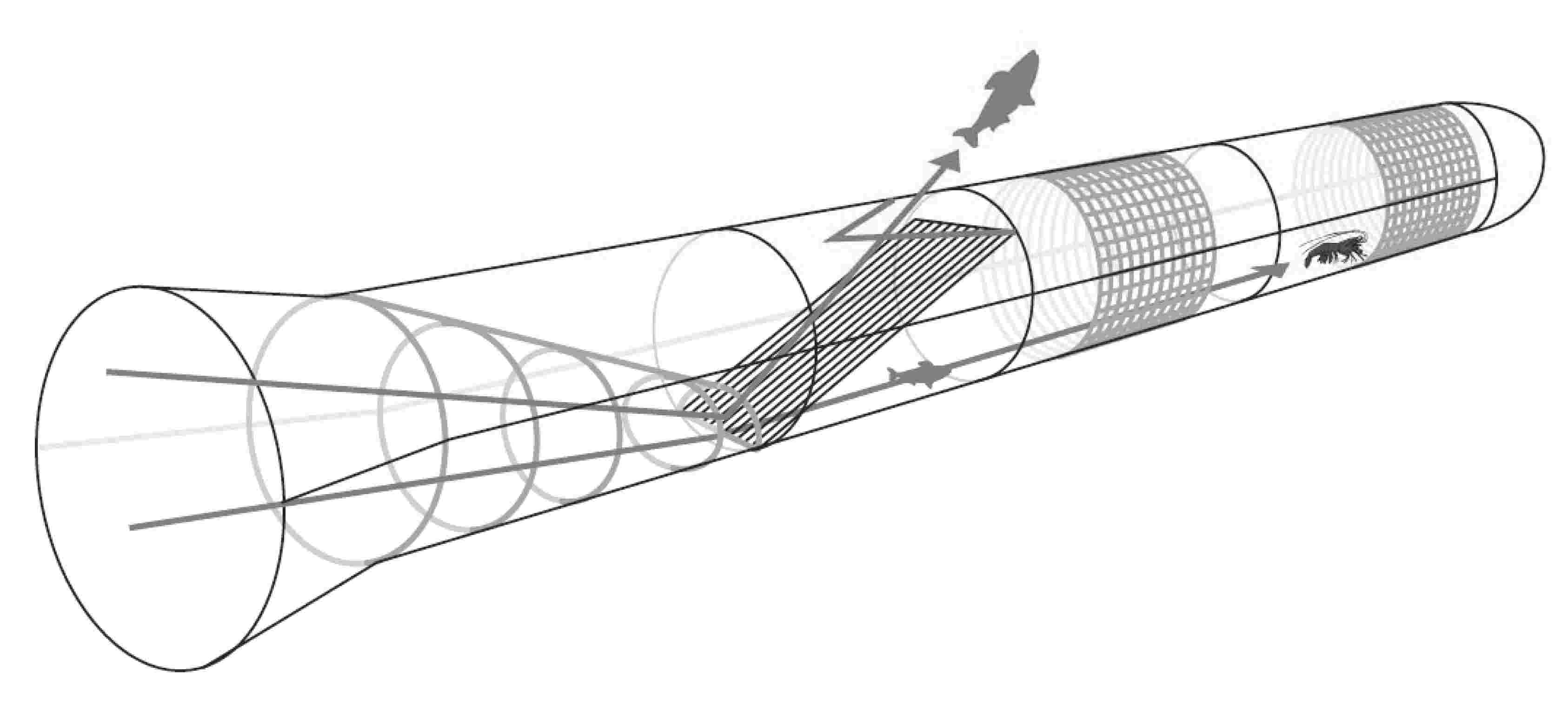PROPOSED CLOSURE AREACLOSURE AREABOUNDINGCO-ORDINATESCORAL DATAGroup by SpeciesProjection: Longitude/Latitude NAD83Group 1Group 2Group 3Group 4Group 5