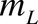 Image 217